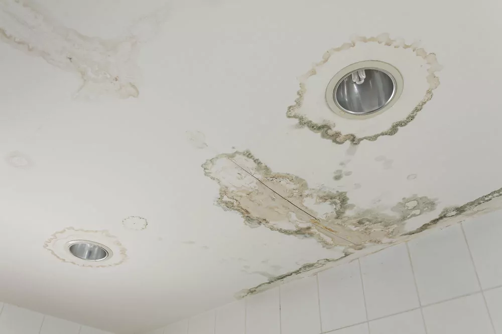 8 Factors That Affect Mold Growth After Water Damage