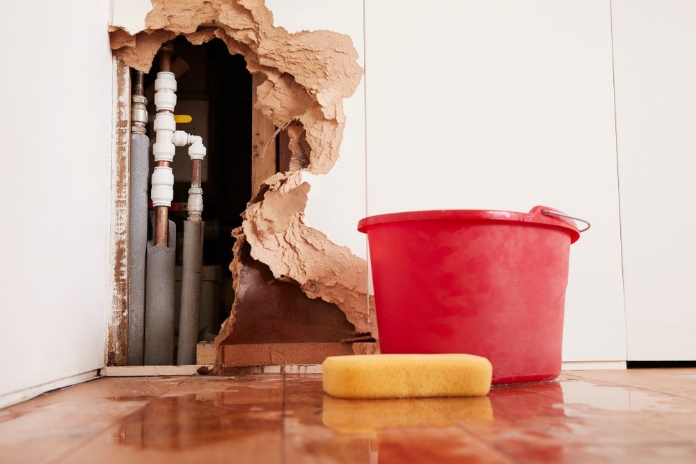 Why Immediate Action Is Crucial After Water Damage