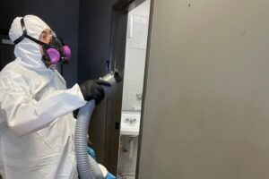 Mold and Water Damage Remediation in Redlands, CA