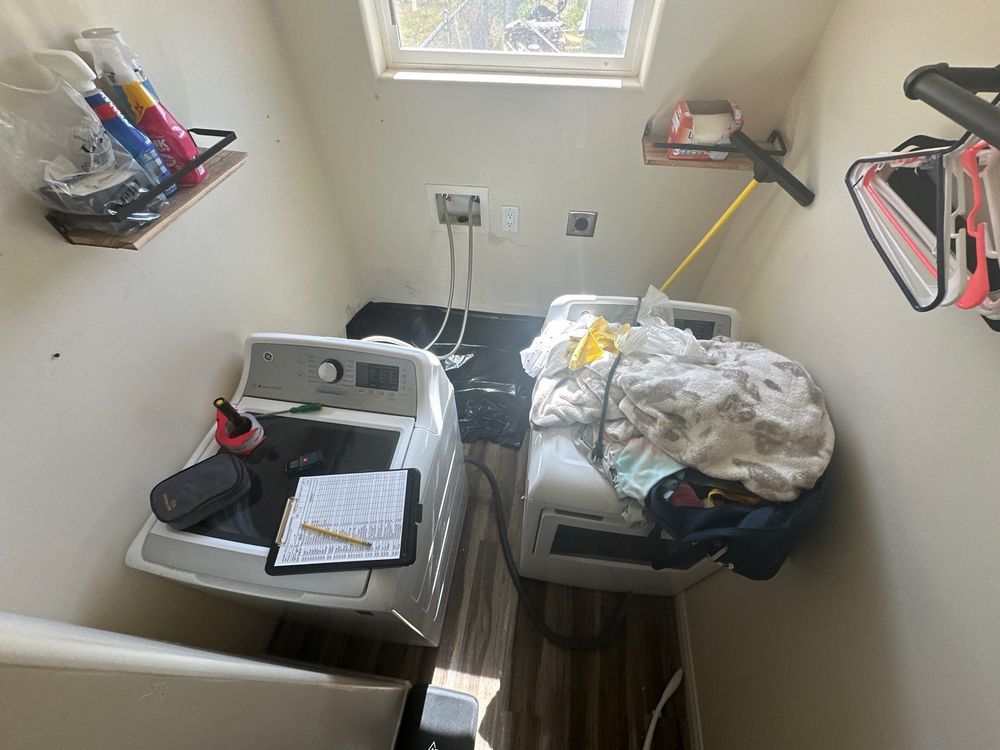 Laundry Room Mold Remediation in Alpine, CA