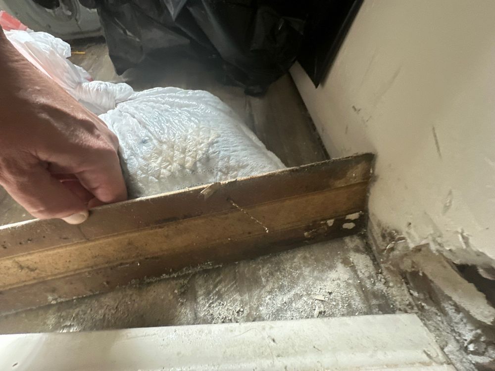 Laundry Room Mold Remediation in Alpine, CA