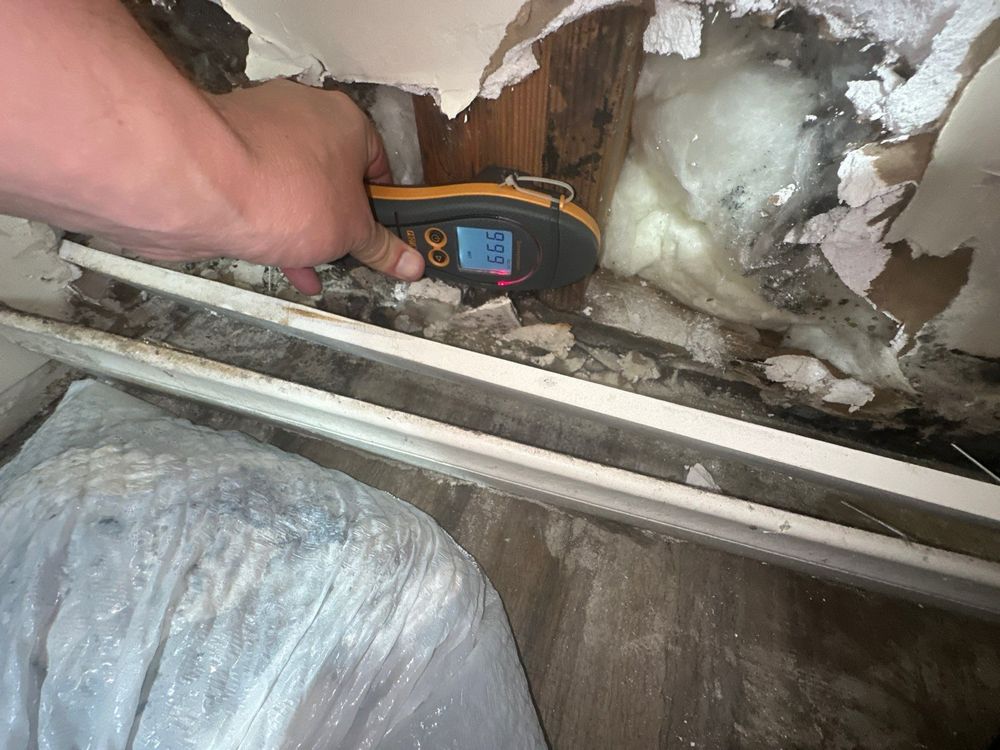 Recent Project: Laundry Room Mold Remediation in Alpine, CA