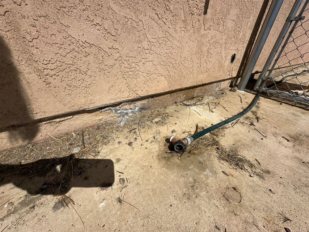 Laundry Room Mold Remediation in Alpine, CA