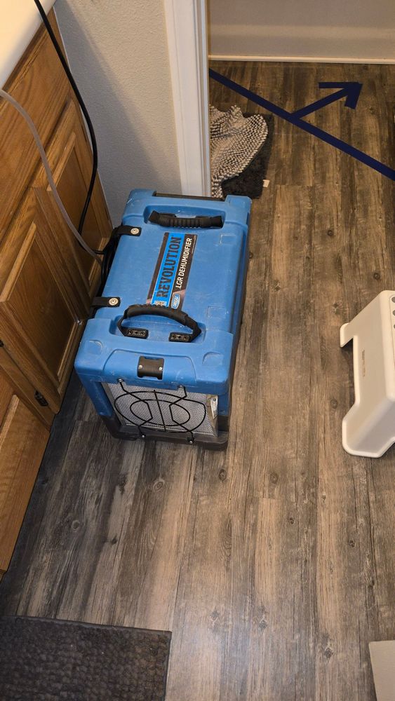 Moisture Detection and Water Damage Assessment in Riverside, CA