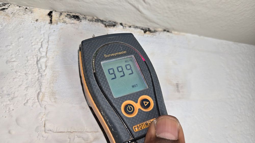Recent Project: Moisture Detection and Water Damage Assessment in Riverside, CA