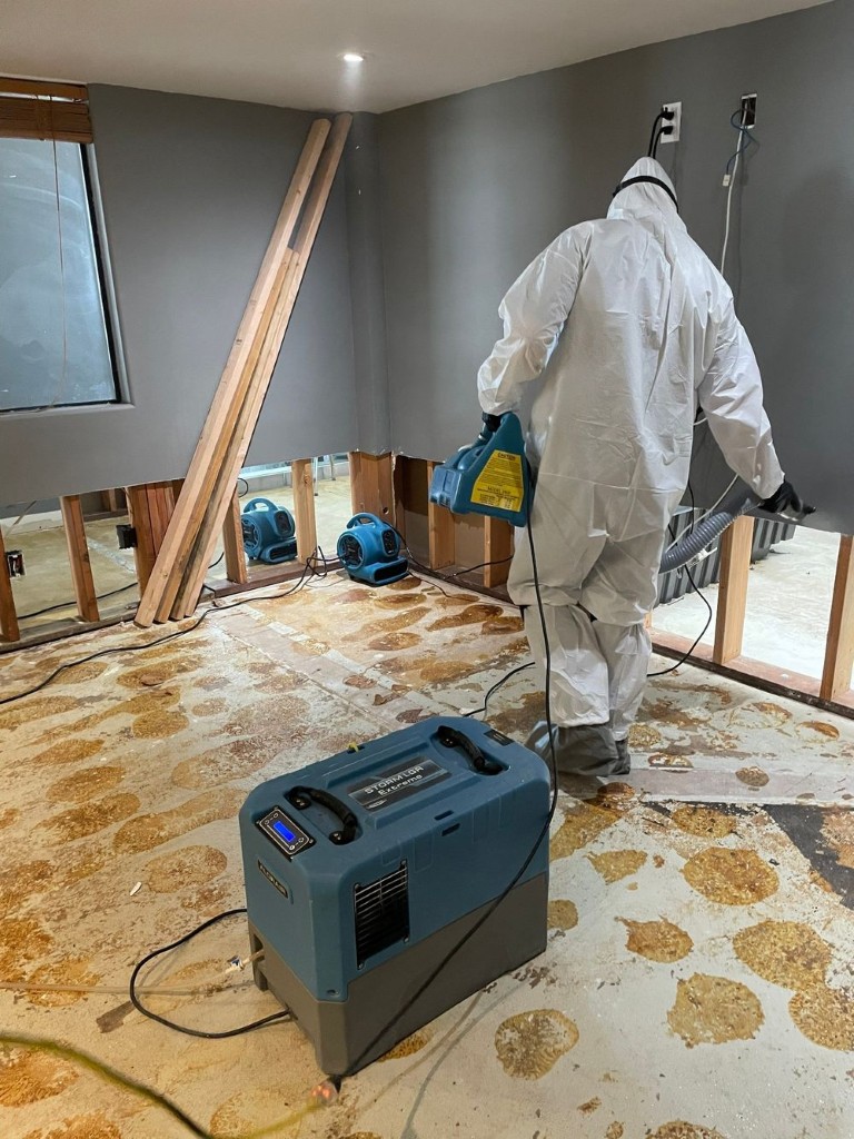 Mold and Water Damage Remediation in Redlands, CA