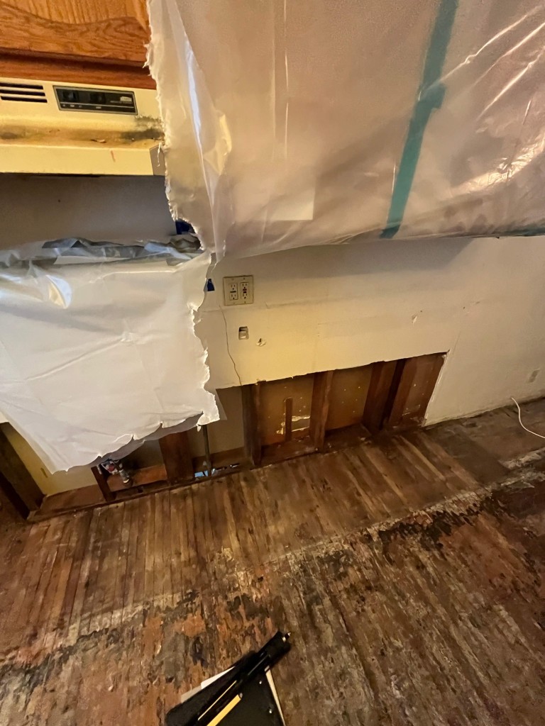 Mold and Water Damage Remediation in Redlands, CA