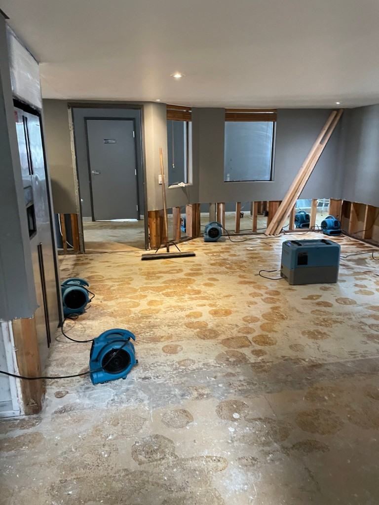 Mold and Water Damage Remediation in Redlands, CA