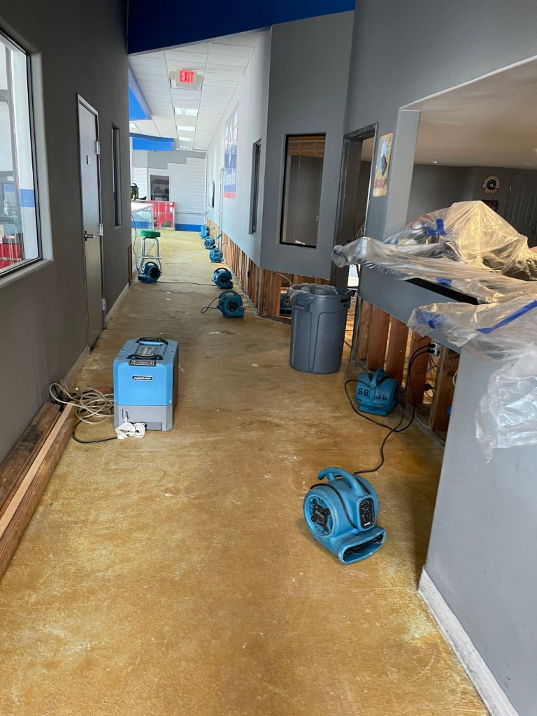 Mold and Water Damage Remediation in Redlands, CA