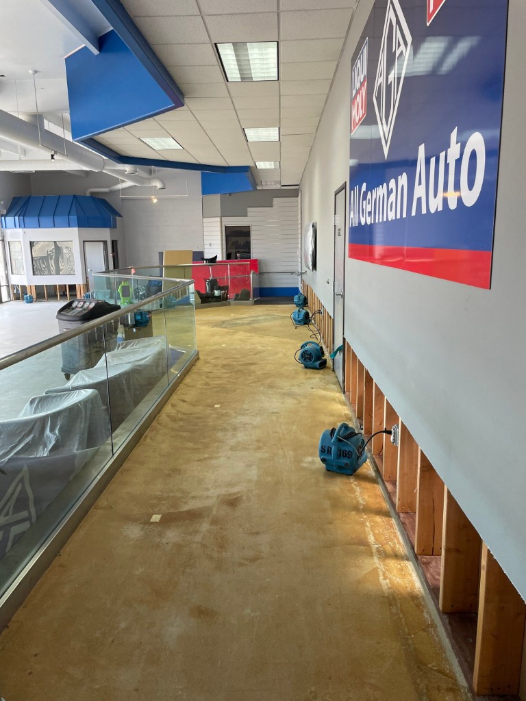 Mold and Water Damage Remediation in Redlands, CA