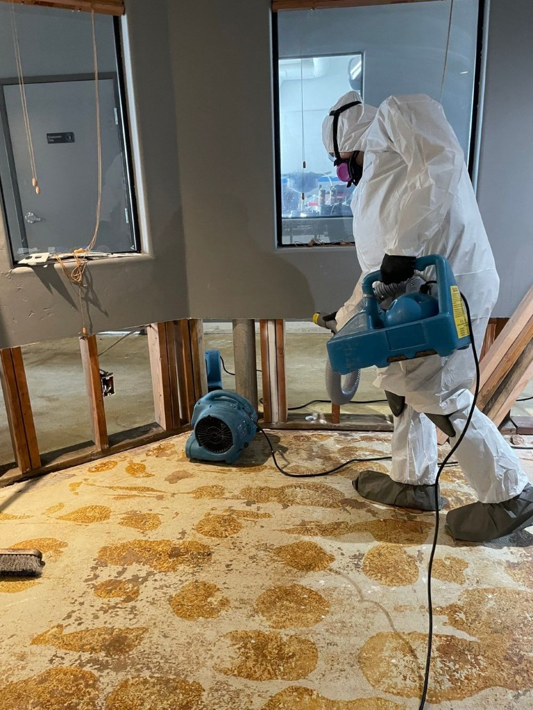 Mold and Water Damage Remediation in Redlands, CA