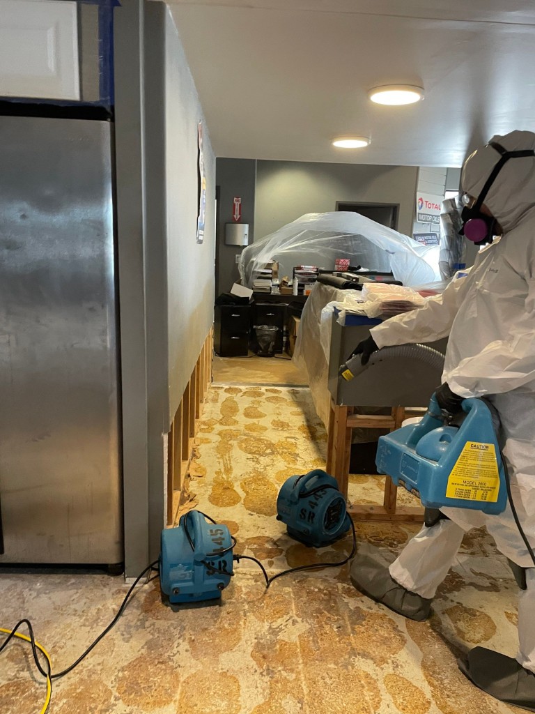 Mold and Water Damage Remediation in Redlands, CA