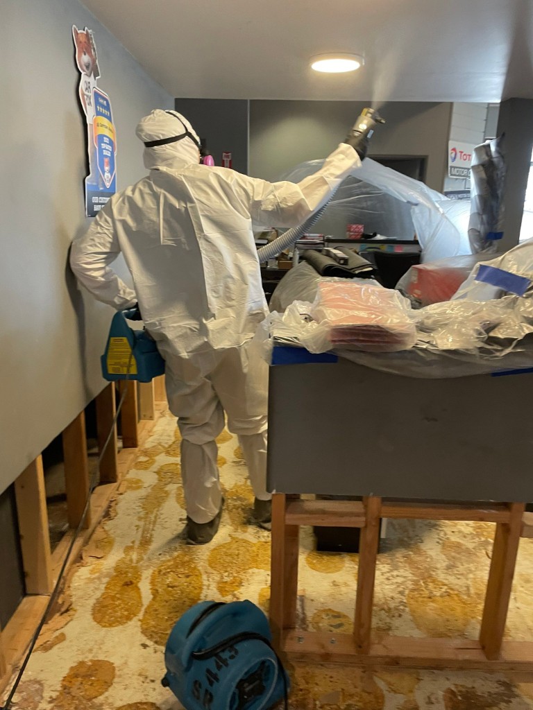 Mold and Water Damage Remediation in Redlands, CA