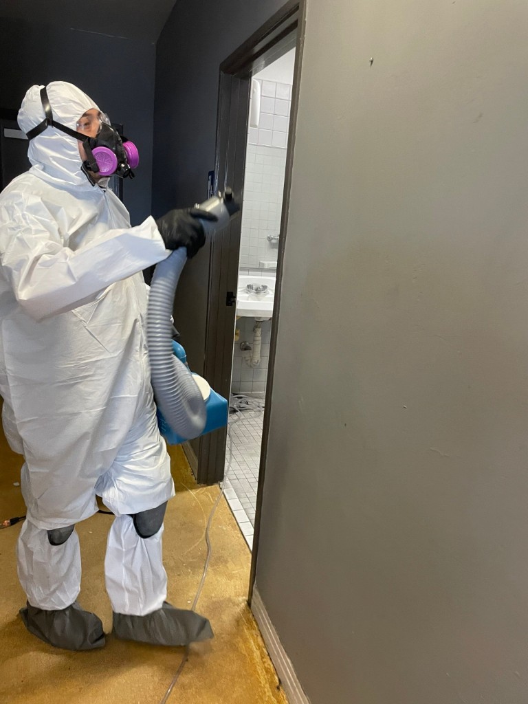 Mold and Water Damage Remediation in Redlands, CA