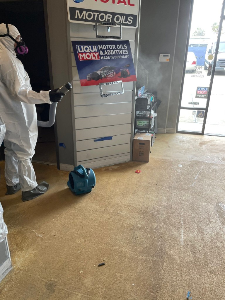 Mold and Water Damage Remediation in Redlands, CA