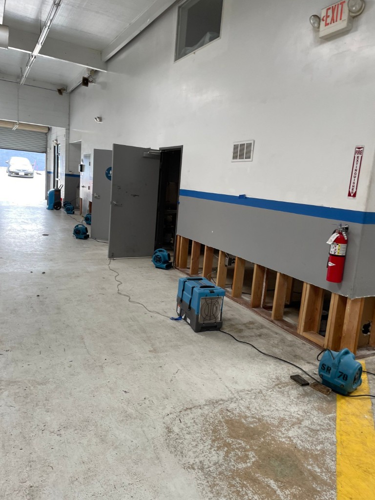 Mold and Water Damage Remediation in Redlands, CA