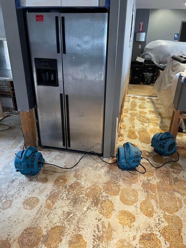 Mold and Water Damage Remediation in Redlands, CA