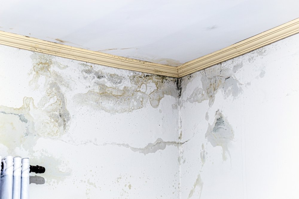 The Dangers of Hidden Water Damage in Walls and Ceilings