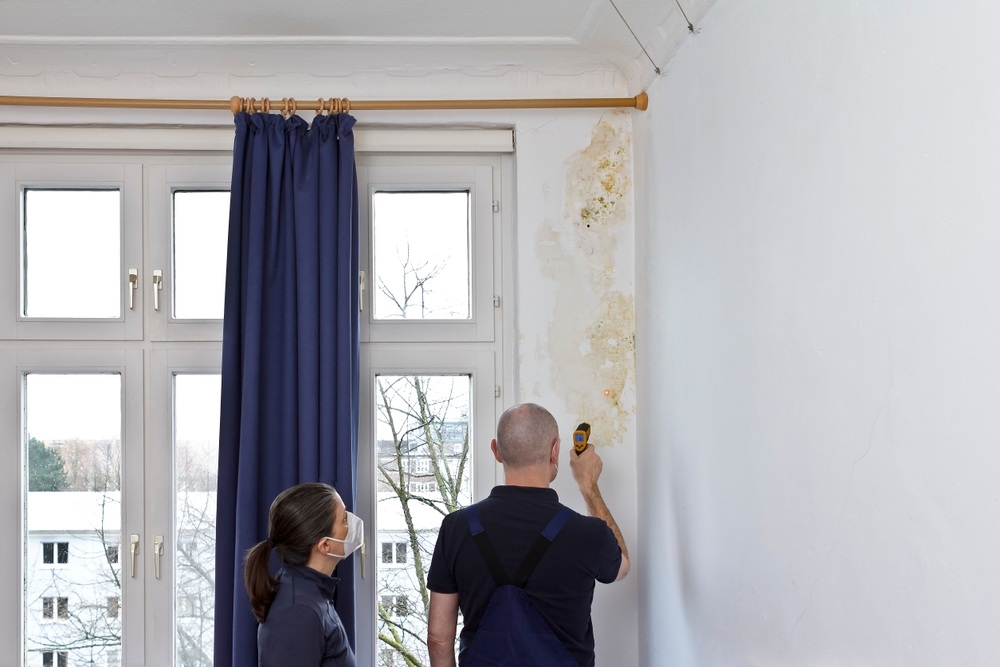 How Can You Prevent Mold Growth After Water Damage?