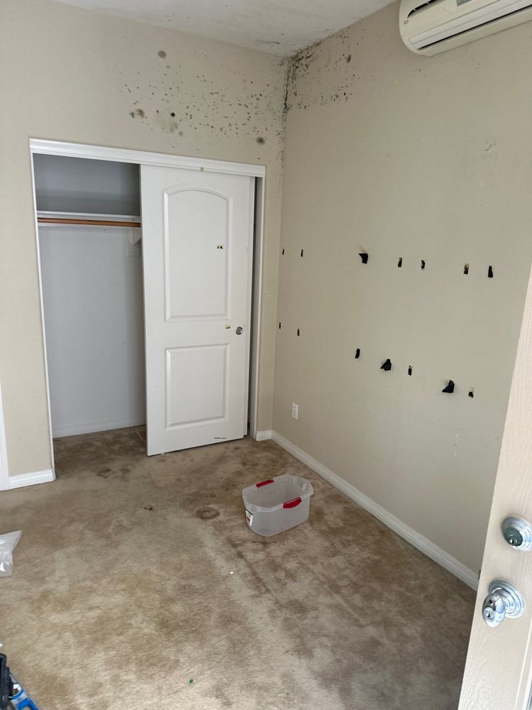 Mold Remediation in Carlsbad, CA
