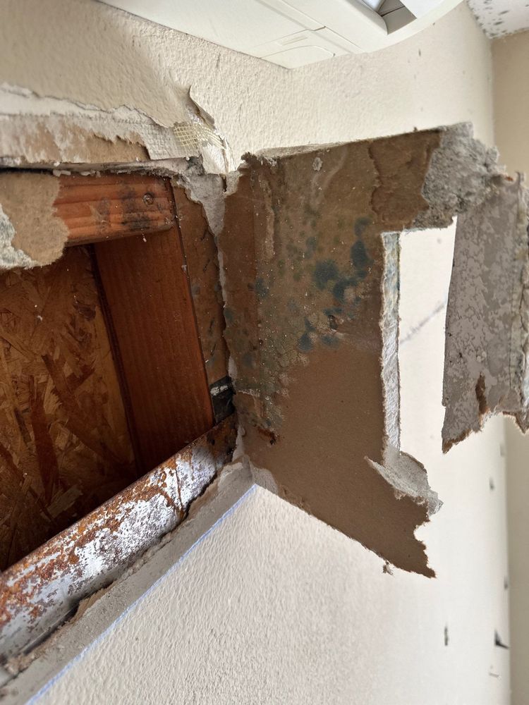 Mold Remediation in Carlsbad, CA