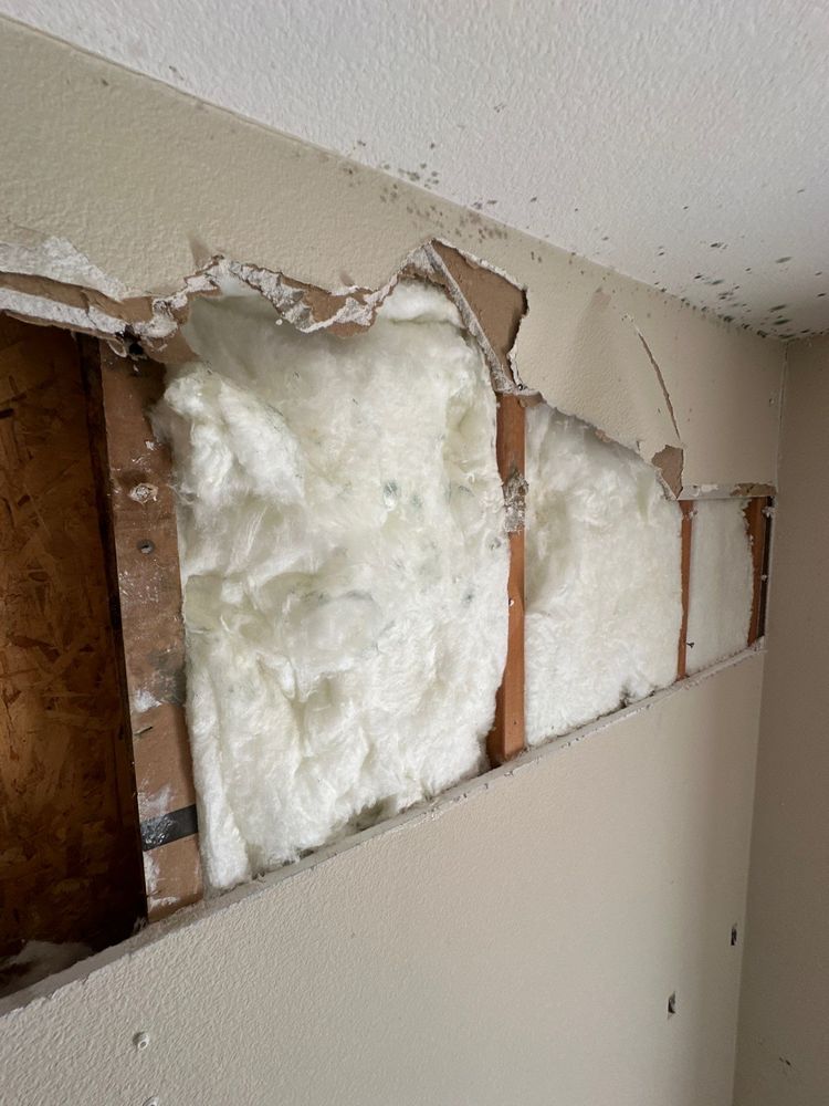 Mold Remediation in Carlsbad, CA