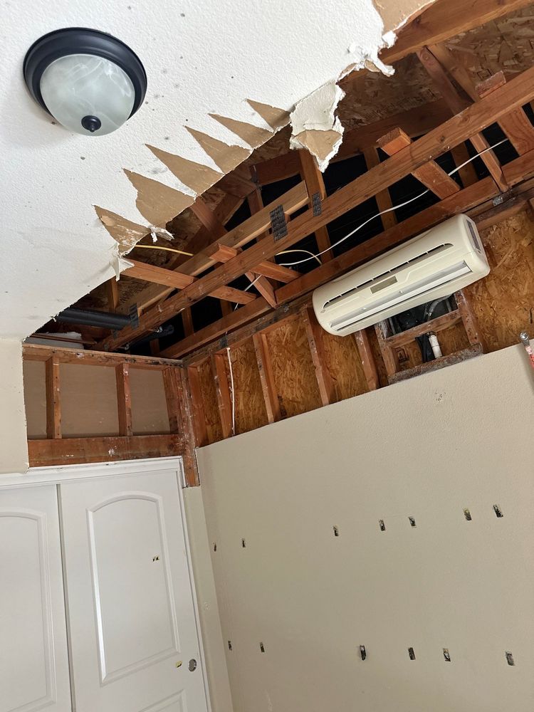 Mold Remediation in Carlsbad, CA