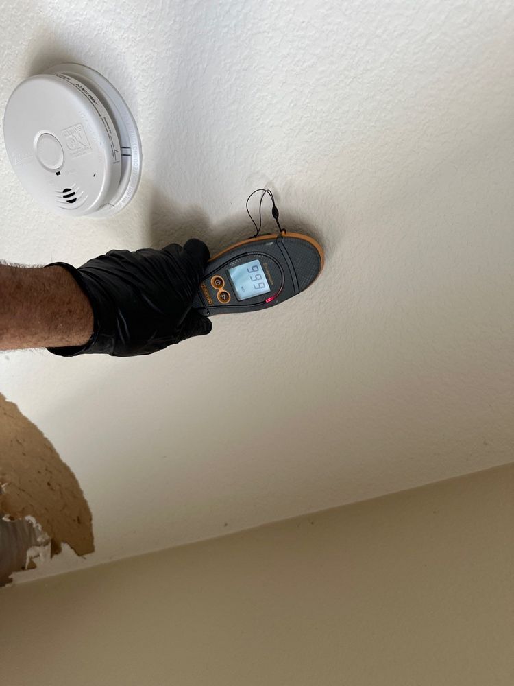 Mold Remediation in Carlsbad, CA