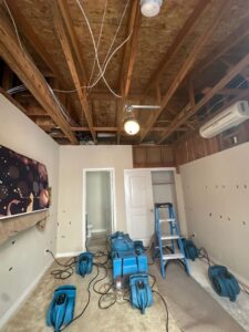 Mold Remediation in Carlsbad, CA
