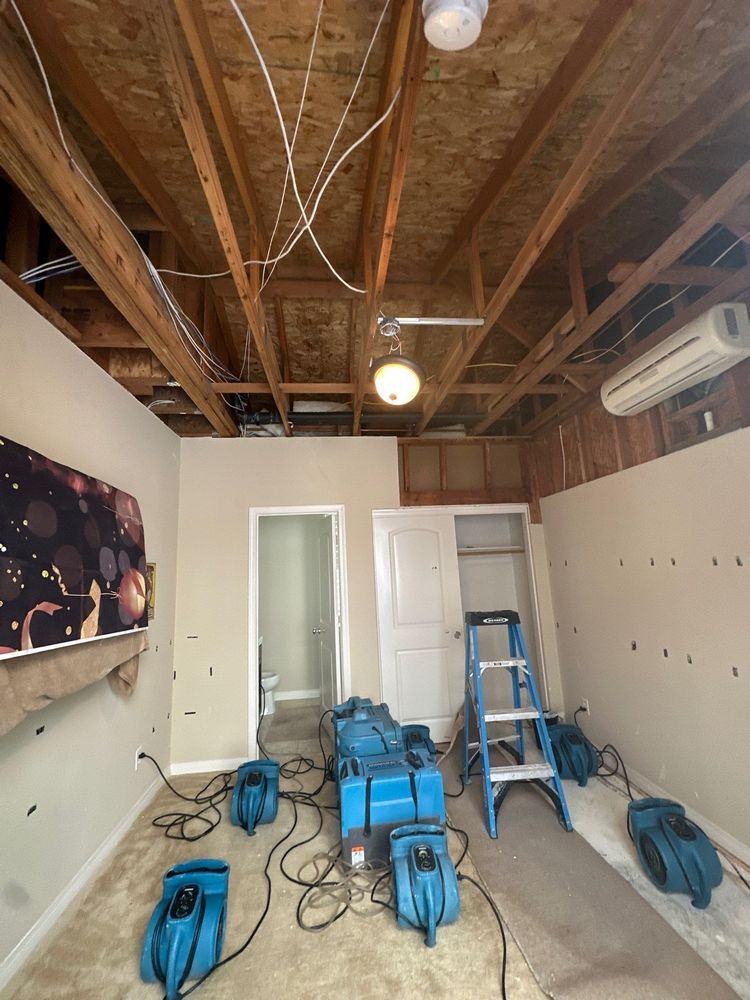 Mold Remediation in Carlsbad, CA