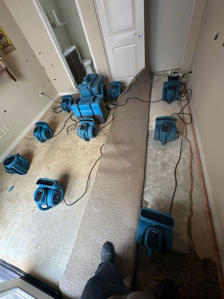 Mold Remediation in Carlsbad, CA
