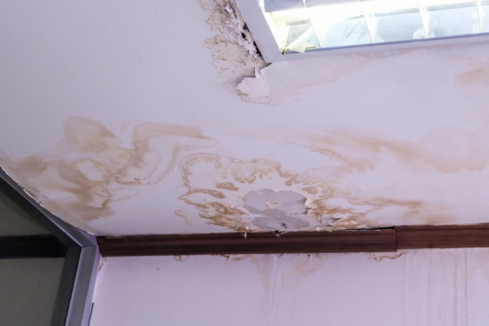 Why Is Quick Action Crucial After Water Damage?