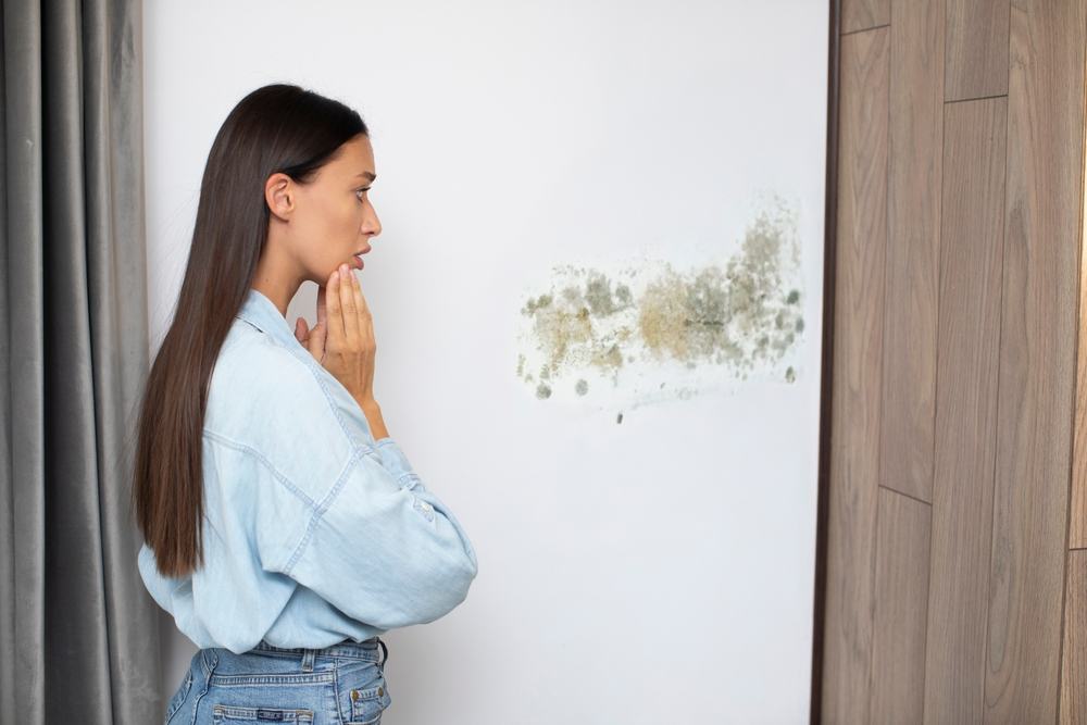 The Hidden Dangers of Household Mold