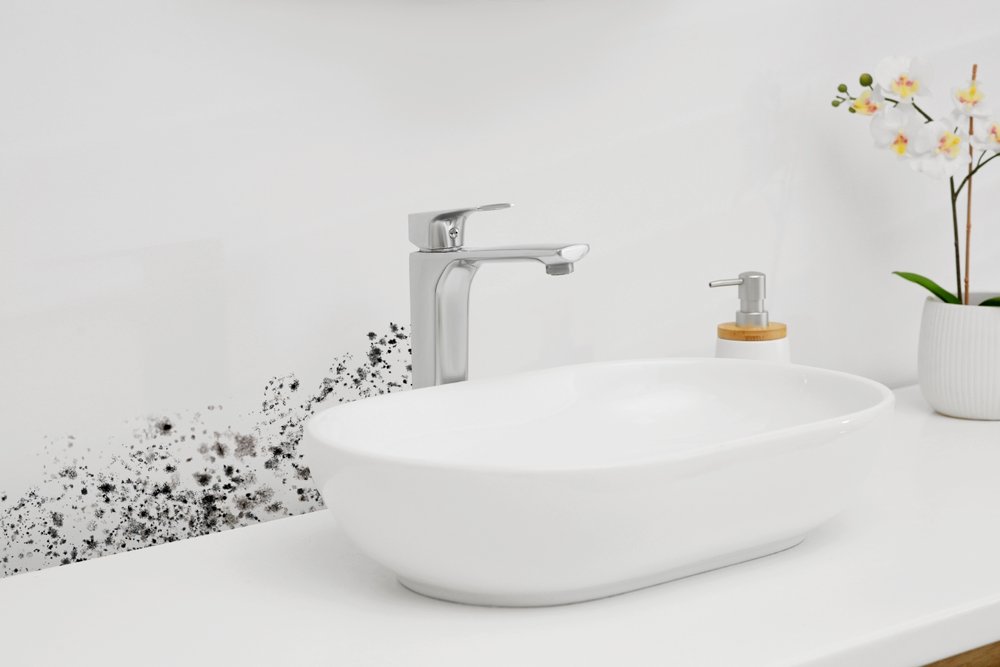 Top Areas in Your Home Prone to Mold Growth