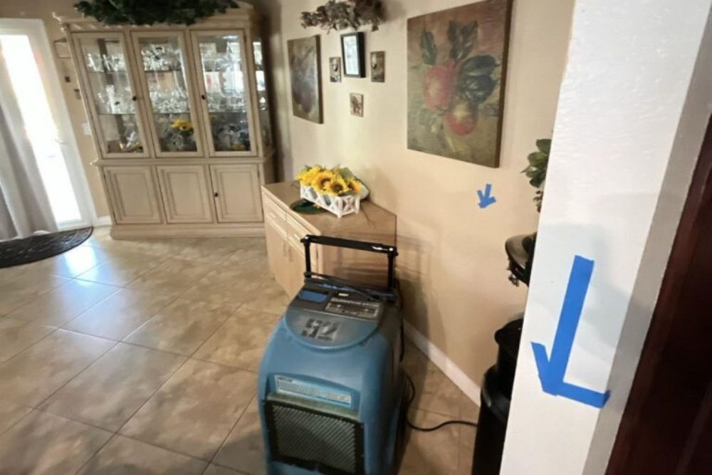 What Should I Do First When I Notice Water Damage in My Home?