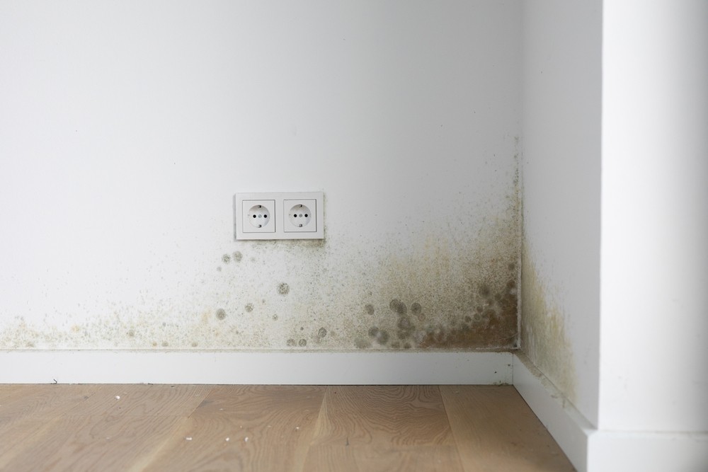 How to Tell If That Dark Spot on Your Wall Is Mold or Dirt