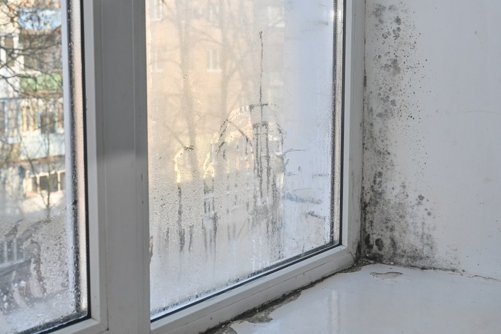 The Hidden Dangers of Persistent Humidity Indoors