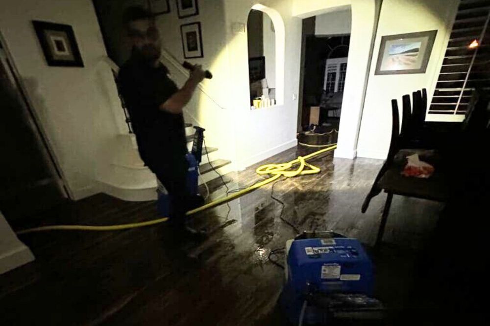 What Common Problems Lead to Sewage Backups?