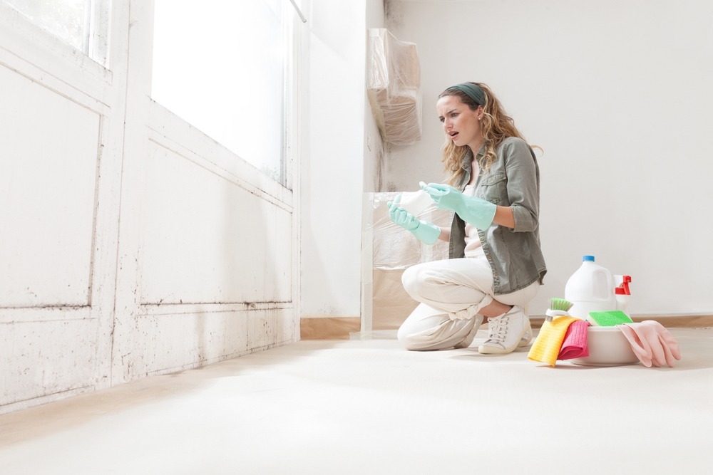 Why DIY Mold Removal Can Be Dangerous to Your Health