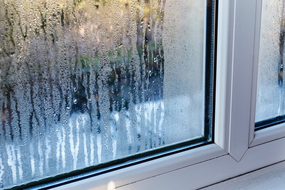 Why You Shouldn’t Ignore a Damp or Humid Smell After Rain