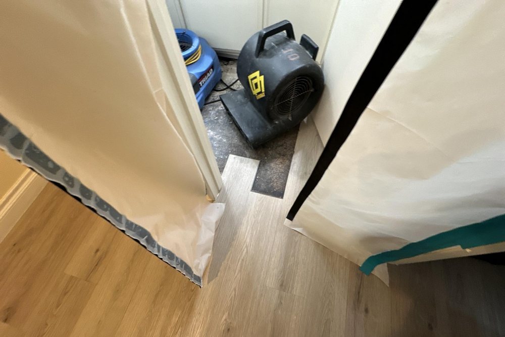 How Professional Water Damage Restoration Saves You Time and Stress