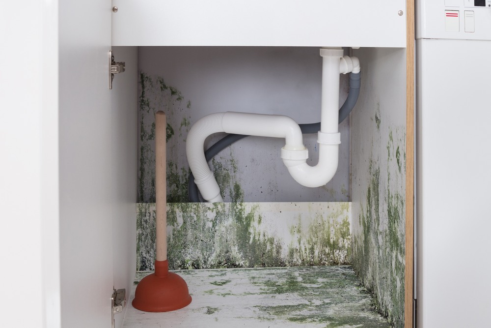 The Hidden Places Mold Loves That Homeowners Never Think To Check