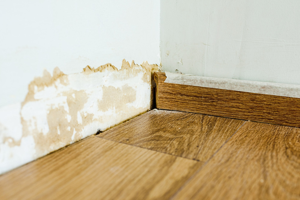 How Hidden Moisture After Water Damage Leads to Mold Growth and Costly Repairs