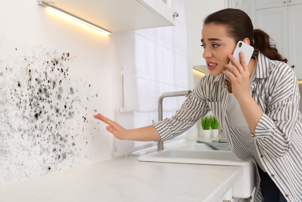 How Quickly Does Mold Grow After Water Damage?