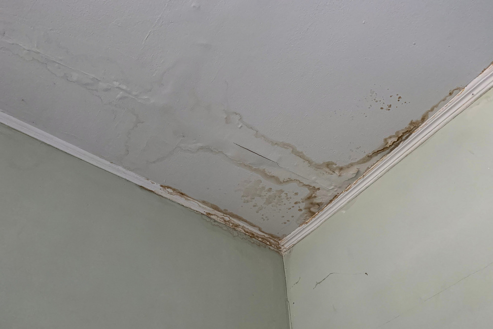 How to Spot Hidden Water Damage Before It’s Too Late