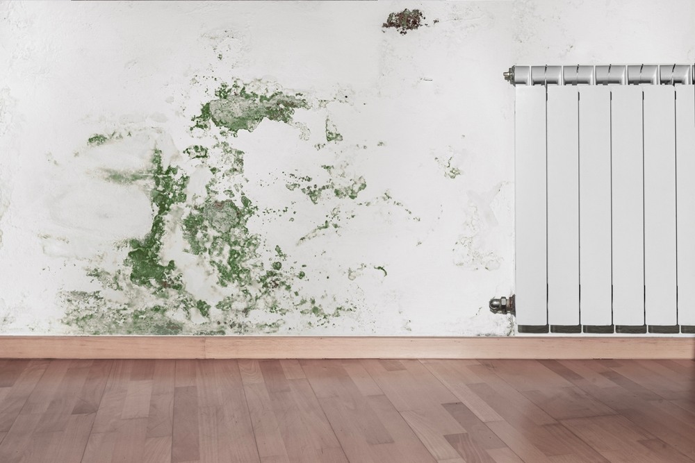  Signs You Have Mold Behind Walls or Under Floors