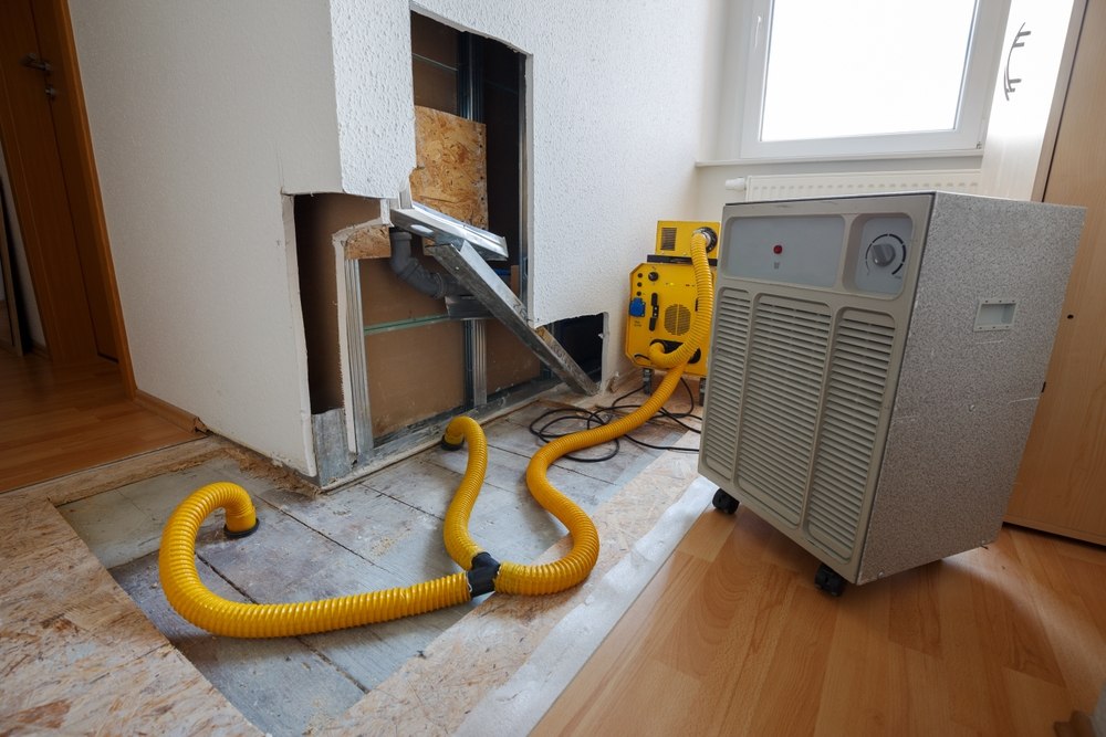 Why Immediate Water Damage Restoration Saves You Thousands