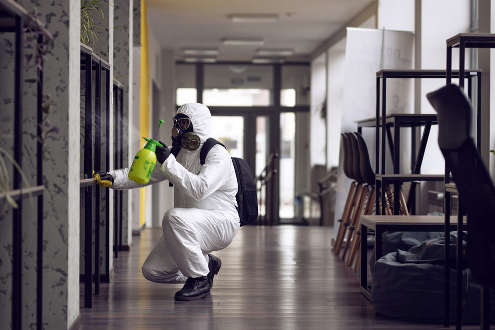 How Commercial Mold Remediation Protects Employee Health and Business Operations