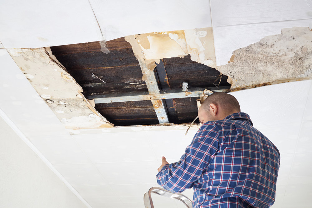 How Professional Water Damage Restoration Helps Prevent Mold Growth in Your Home
