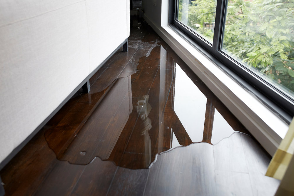 How Water Intrusion Quickly Spreads After a Leak or Flood